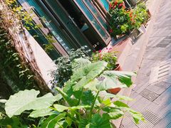 -院子餐厅·大锅菜·老杭帮(桥西直街店)