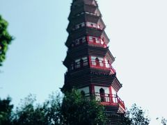 -中山公园(石岐街道)