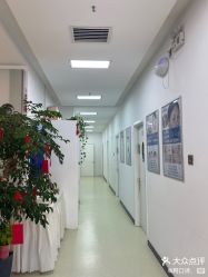 -黎蓓露·徒手骨雕蛋白抗衰·调肤管理