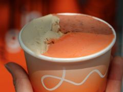 -Dip in Gelato(富民路店)