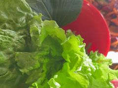 -韩盛源泥炉烤肉店(高深路店)