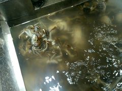 -肥肥牛鲜蚝海鲜自助(红山店)