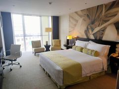 -国家会议中心大酒店