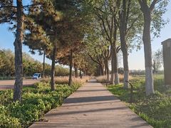 -汉长安城未央宫国家考古遗址公园