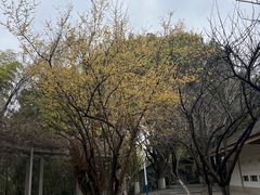 -求雨山文化公园