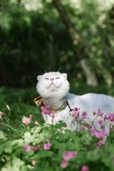 -ZOO KIDS象集摄影工作室(西城公馆店)