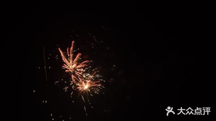 南汇嘴观海公园图片