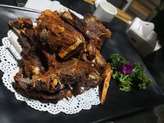 -祖传曾羊肉饭店