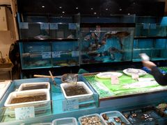 水产区-海江5号