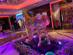 -纯K(打浦桥店)