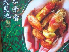 -季季山·云南野生菌火锅(上海首店)