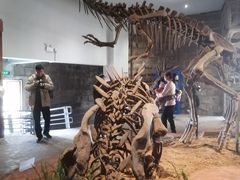 -自贡恐龙博物馆