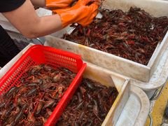 -马王堆海鲜水产市场