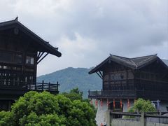 -大唐贡茶院
