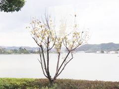 -东钱湖旅游度假区