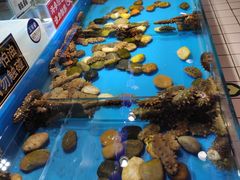 -北京华联购物中心(天通苑店)