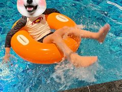 -青水瓦台汤泉(未央店)