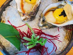 -Hatsune隐泉日式料理(三里屯太古里店)