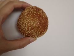 麻团-新一代无矾油条(金海里小区店)