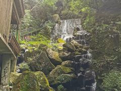 -藏龙百瀑风景区