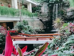 -广州白天鹅宾馆