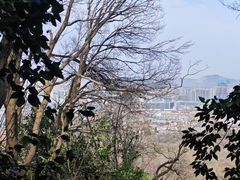 -紫金山山顶公园