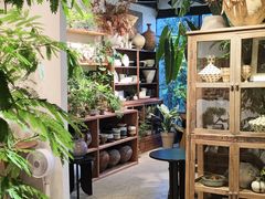 -自由生长植物工作室(深港花卉中心店)