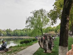 -堤角公园