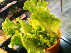 -古乐牛香·鲜牛肉牛杂火锅(五一中路店)