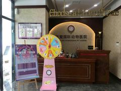 -宠爱国际动物医院· 猫科· 外科·中兽医(长白店)