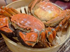 清蒸大闸蟹公-赤甲皇(仙霞路店)