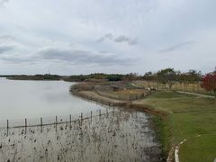 -东滩湿地公园观海楼餐厅
