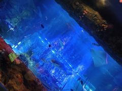 -沈阳海洋探索中心