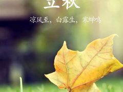 -比尔森韩式烤肉自助(国商店)