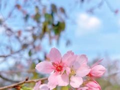 -华南国家植物园-售票处