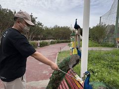 -水上乐园·欢乐世界