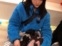 -浣熊柯尔鸭土拨鼠·电玩咖