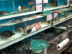-盒马鲜生(莱蒙都会店)