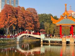 -金砂公园