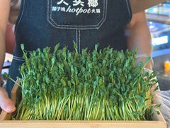 -大头椰·椰子鸡火锅(南宁万象城店)