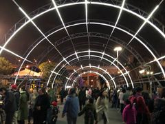 -锦江乐园舞狸花花游园会(夜场专享)