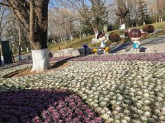 -济南植物园