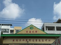 -云南木水花野生菌交易中心