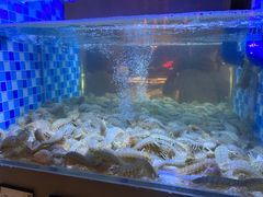 -映像威海·威海宴(威高广场店)