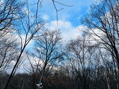-帽儿山风景区