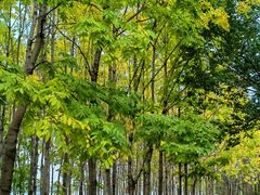 -长春市南湖公园