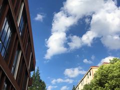 -上海财经大学(国定路校区)