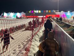-沈阳奥体冰雪嘉年华