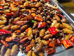 -鑫顺吉牛肉馆