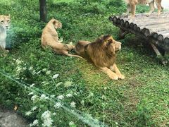 -西安秦岭野生动物园